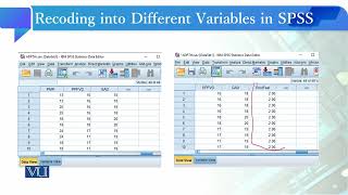 Recoding into Different Variables in SPSS | Quantitative Research Methodology | SOC509_Topic162