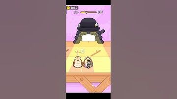 Hide & Seek : Cat 🐈 Escape Game | Level- 344 | Satisfying Gameplay #games #shorts #hideandseek