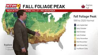 Welcome to Fall!