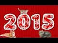 Как КОТАН отмечает НГ 2015