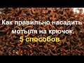 Как правильно насадить мотыля на крючок 5 способов 
