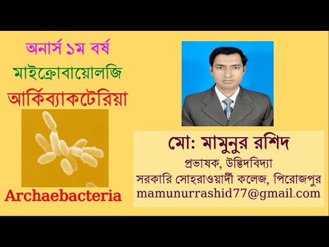 Archaebacteria আর্কিয়া