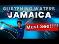 JAMAICA WATER ATTRACTION | Glistening Waters Luminous Lagoon | VISIT JAMAICA   *MUST SEE