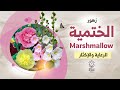 نبات الختمية استخدامات طبية وزهور جميلة Marsh Mallow Althaea Officinalis 