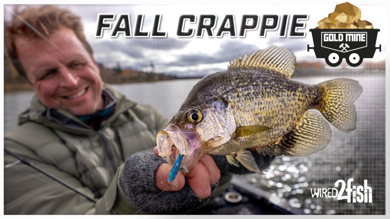 Catch More Fall Crappies  Advanced Lure and Fish Finder Tips 