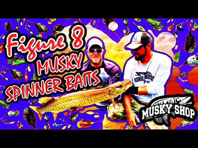 Spinnerbait Musky Fishing! 