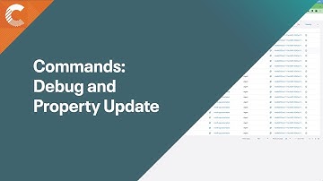 Commands: Debug and Property Update