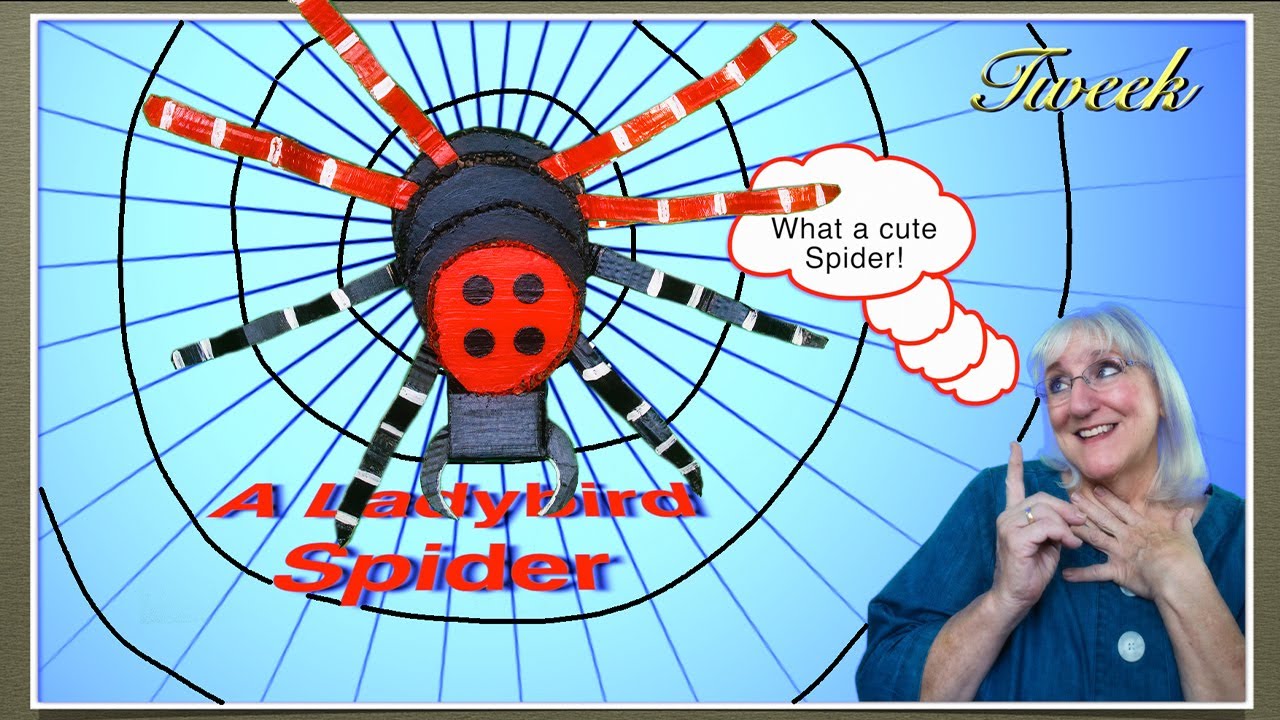 How to make Sydney - The COLORFUL Cardboard LADYBIRD SPIDER, DIY