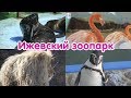 Ижевский зоопарк | Государственный зоологический парк Удмуртии - ПОЛНАЯ ВЕРСИЯ