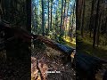 Сентелек, Чарышский район.