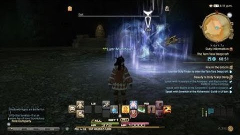 Final Fantasy XIV: A Realm Reborn- Raid- Pugilist