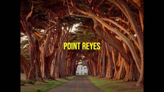 The Magic of Point Reyes | California’s Most Beautiful Coastline on Film | Kodak 250D 16mm