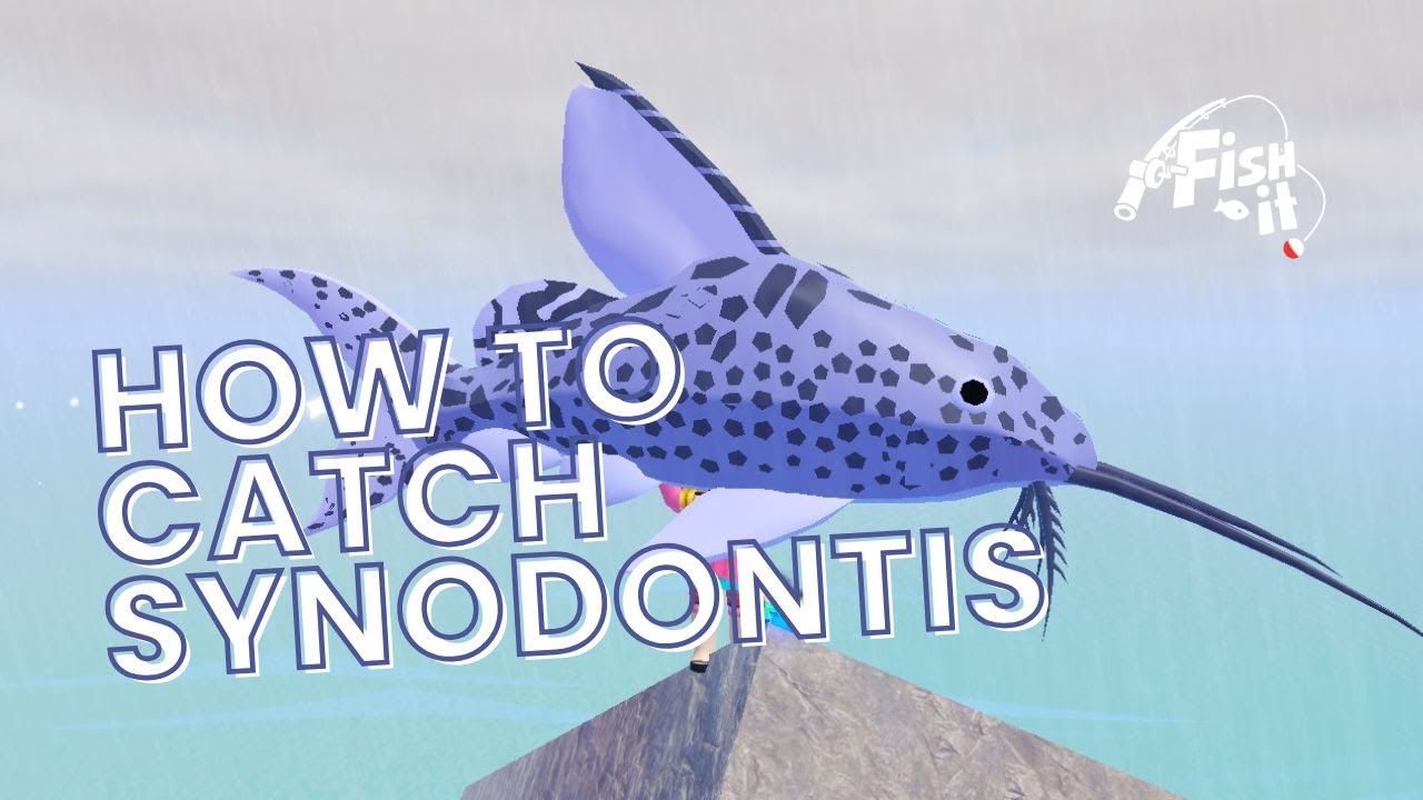 LEGENDARY FISH FOUND - How to Catch Synodontis in Roblox Fish It