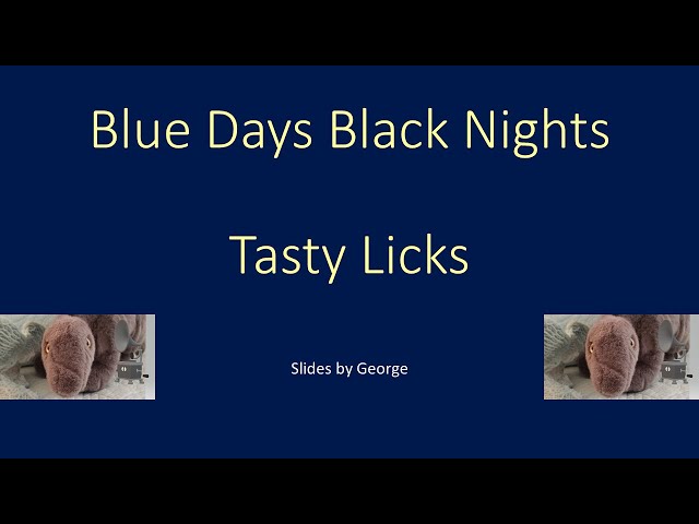 Tasty Licks   Blue Days Black Nights karaoke