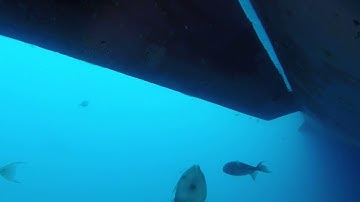 mv Intrepid in Santos roads   Bilge keels   Video 01 of 01