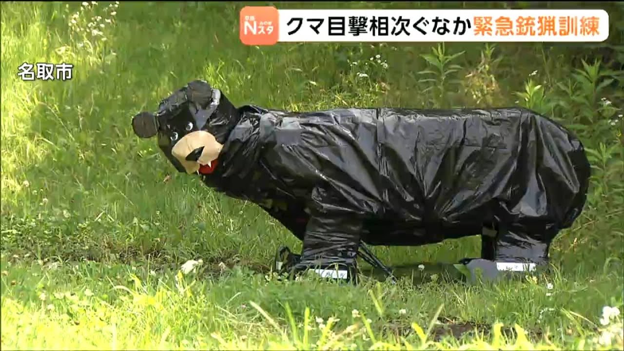 Over 800 Sightings and a 