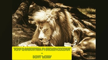 TONY Q RASTAFARA Ft STEVEN COCONUT - DON