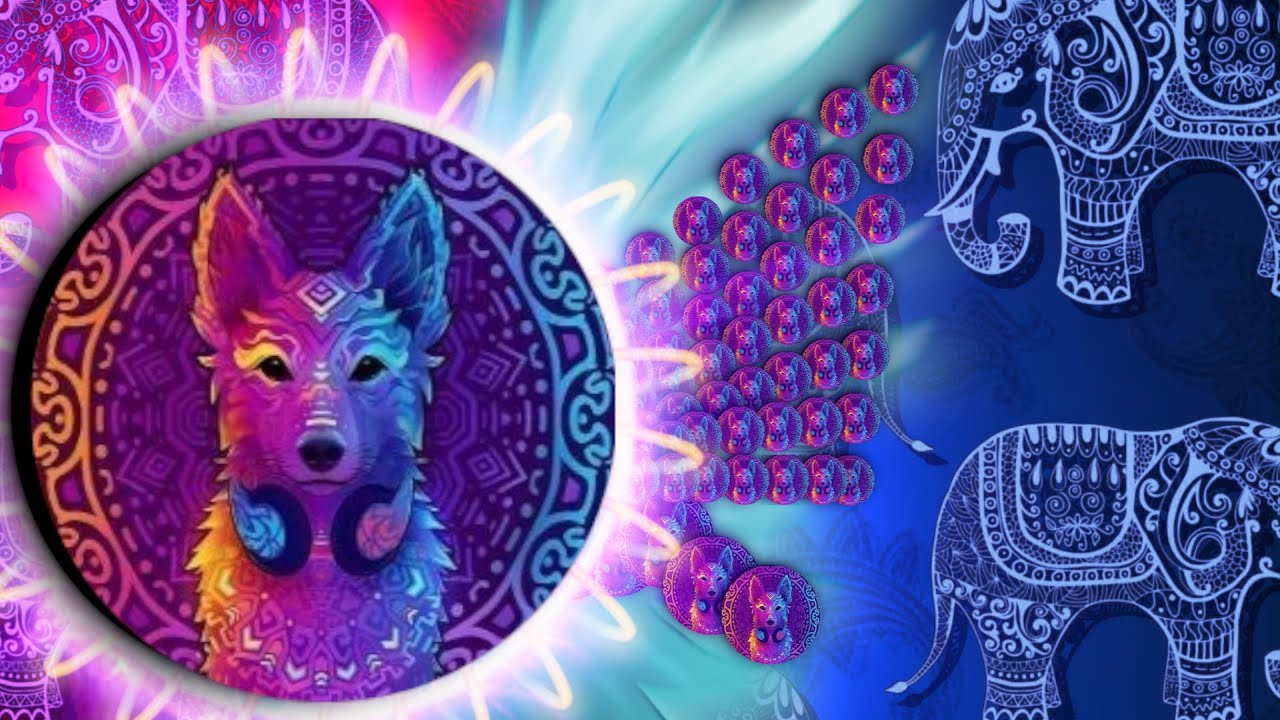 Agma.io 🐶 C-Key Training. Reverses, Big Team destroys and ....Fails!