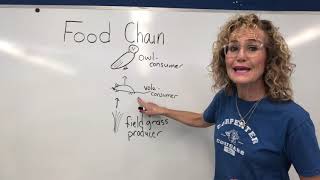 Fifth Grade, Life Science, Lesson 3