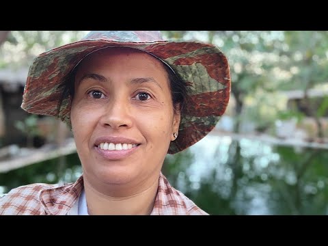 DIA A DIA NA ROÇA, PLANTAÇÕES, SUÍNOS E RESERVATORIO DE AGUA, TRABALHO COM MUITO AMOR.