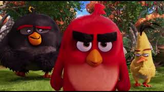 birds paradise