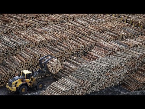 "И батарейки у них деревянные": в Швеции делают аккумуляторы из древесины