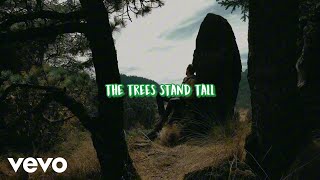 Make a Joyful Noisee - In the Pines,where the Sun Don't Shine (Official Music Video) (Lyric Video)