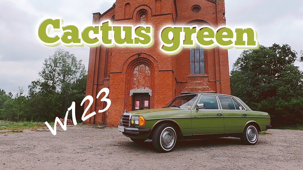 Восстановление W123. Cactus green