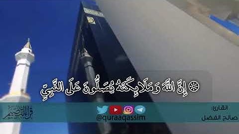 القارئ صالح الفضل