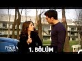 Adn feriha koydum 1 blm