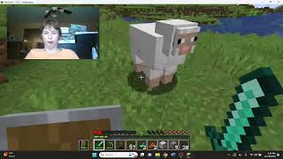 Minecraft GamePlay 4