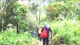 The Durian Hunters U