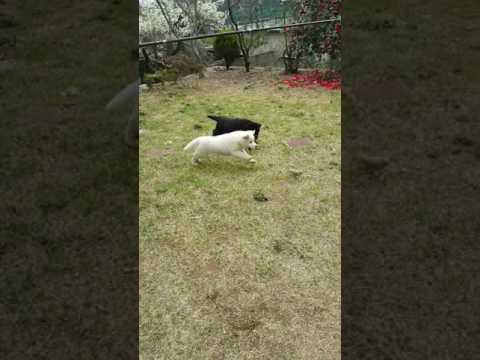 더미 훈련