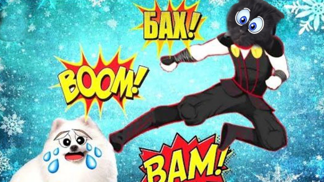 Картун Дог НАПАЛ на Шанельку!!! В РЕАЛЬНОЙ Жизни!!! - YouTube