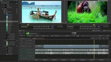 Timeline FX: Time warps and Speed Changes