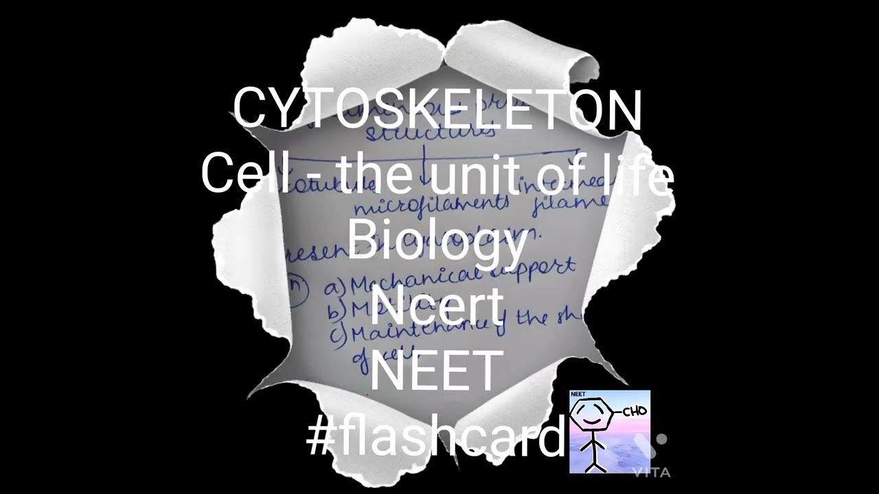 CYTOSKELETON Cell the unit of life Biology Ncert NEET 