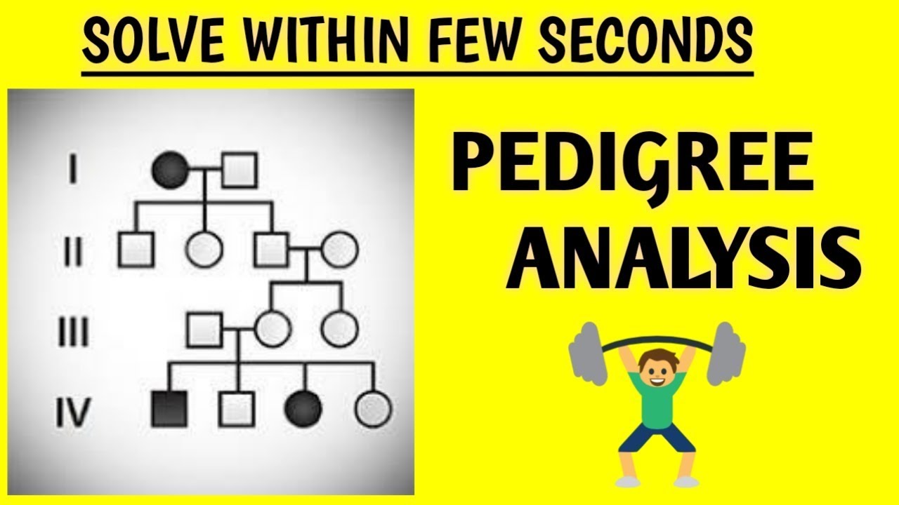 Excellent Trick For Pedigree Analysis YouTube excellent-trick-for-pedigree-analysis-youtube