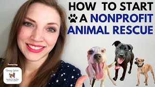 How to Start An Animal Rescue Nonprofit (featuring @SavingGraceNC!)