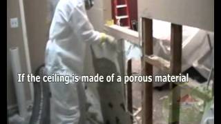 Mold Affects People Taking Breathing Diseases, Allergies
