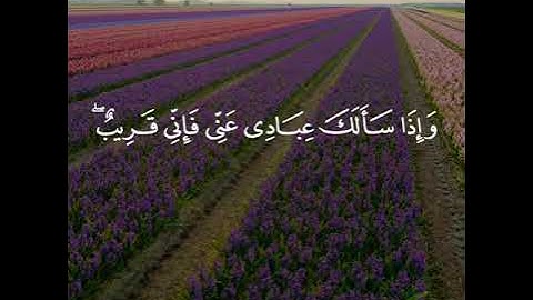 {وَإِذَا سَأَلَكَ عِبَادِي عَنِّي فَإِنِّي قَرِيبٌ} القارئ ماهر المعيقلي سورة البقرة