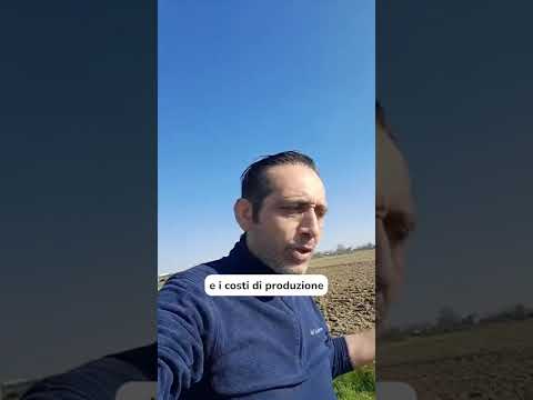Video La guerra blocca le semine