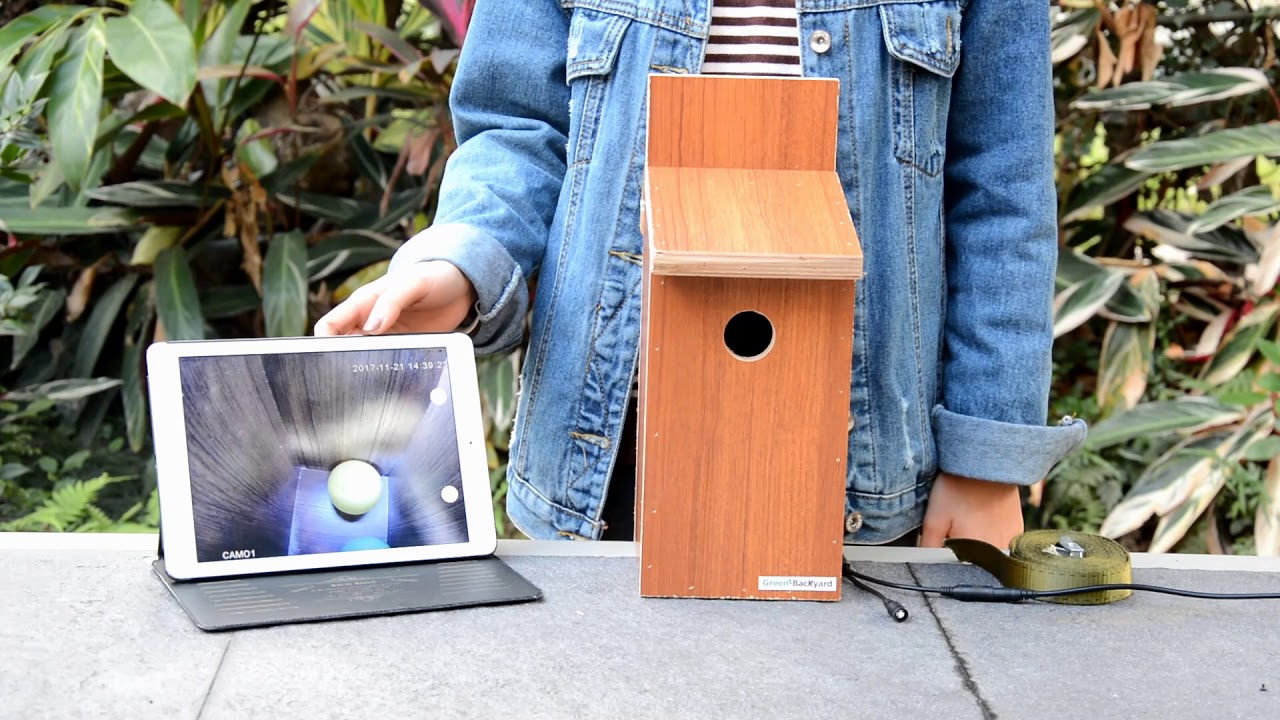 Wireless Bird Box Camera with iPad 