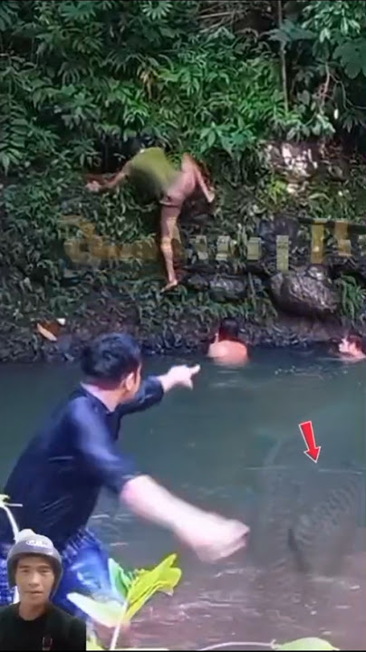 ngacir!lagi pada ngobeng ikan tiba tiba muncul ikan besar bersisik merah#animals#fishing #shortvideo