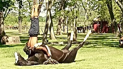 MAN AND BEAST - Part 39