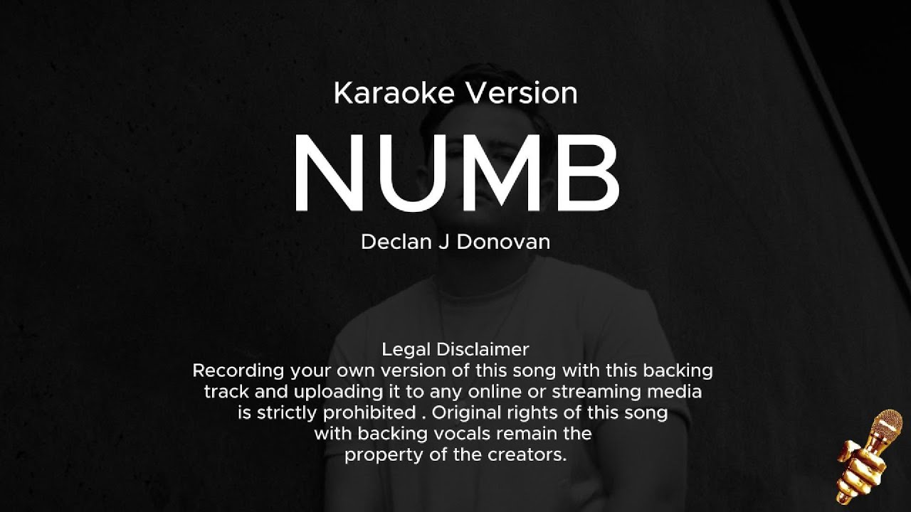 Declan J Donovan – Numb (Karaoke Version) Declan J Donovan – Numb (Karaoke Version)