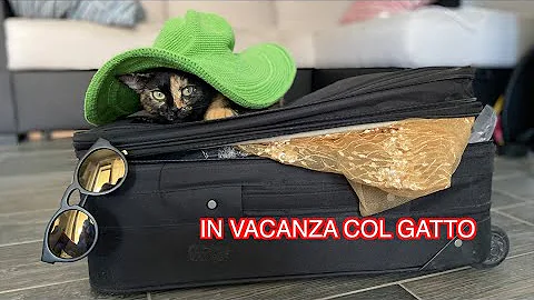 Come andare in vacanza con il gatto?