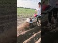 #MultifunctionalTiller #TillerManufacturer #Rotary Tilling Weeding #mini #farming #tiller #shorts