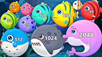 Marine Fish Merge 3D - ASMR Gameplay (Fishs Evolution, Level Up Balls 2048 Puzzle)