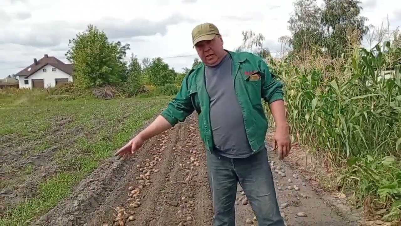 Робота та налаштування двухрядної картоплекопалки Петрика