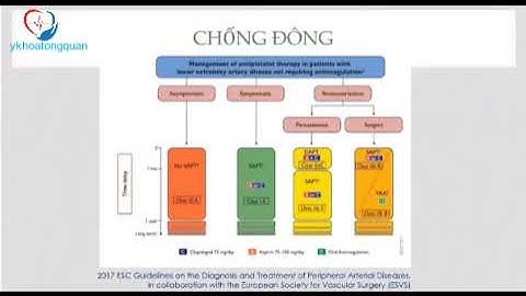 Phẫu thuật điều trị bệnh lý mạch máu chi dưới